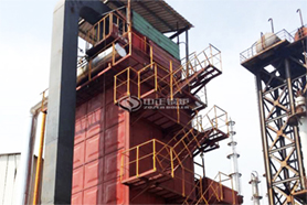 國內(nèi)最大導(dǎo)熱油鍋爐投入運(yùn)行！