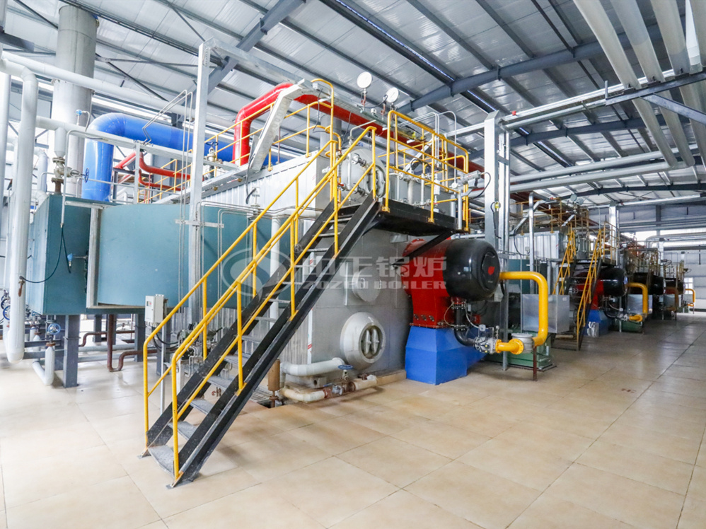 運(yùn)行在天齊鋰業(yè)的中正SZS系列燃?xì)庹羝仩t