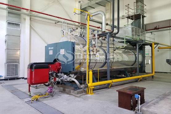 農(nóng)夫山泉果業(yè)10噸WNS系列天然氣蒸汽鍋爐項目