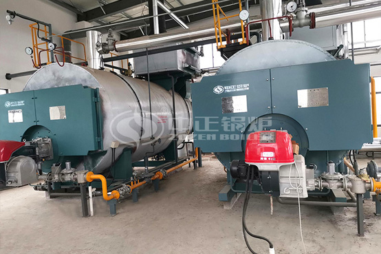 上海市青少年實(shí)踐活動金山基地4.2MW WNS系列燃?xì)鉄崴仩t項目